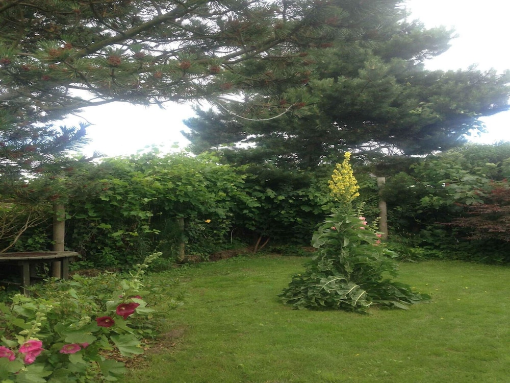 5 Star Holiday Home in Faaborg