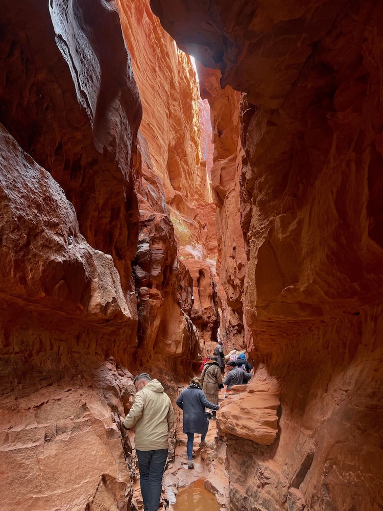 Wadi Rum Hikes & Camp