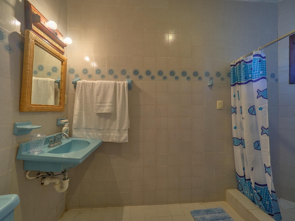 Photo 42