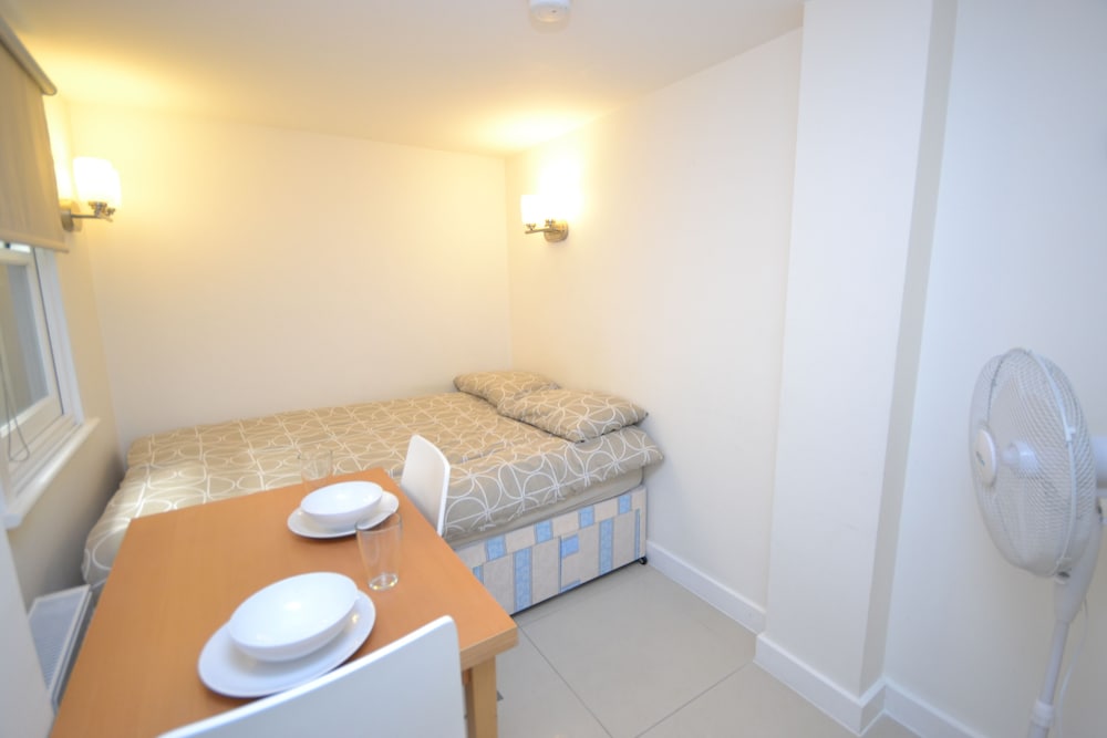 SS Property Hub - Large apartment near Hyde Park