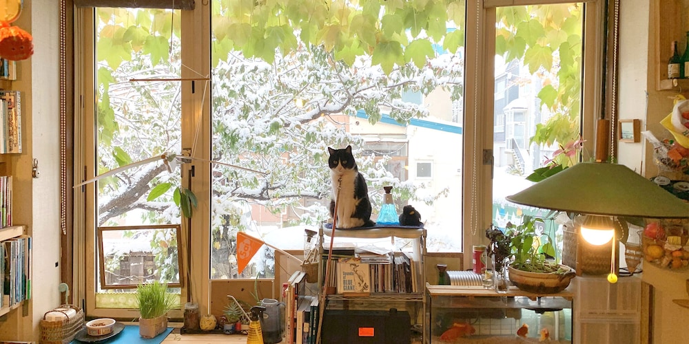 Otarunai Backpackers' Hostel MorinoKi
