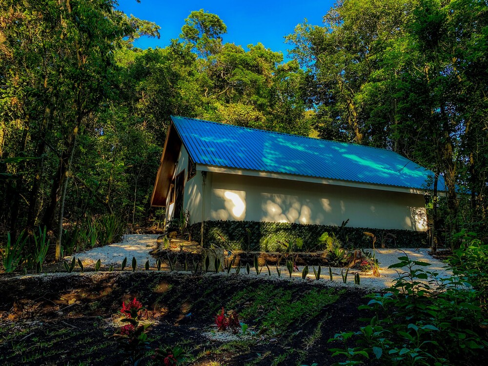 Tityra Lodge