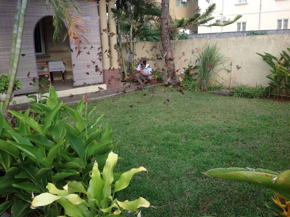 Photo 10