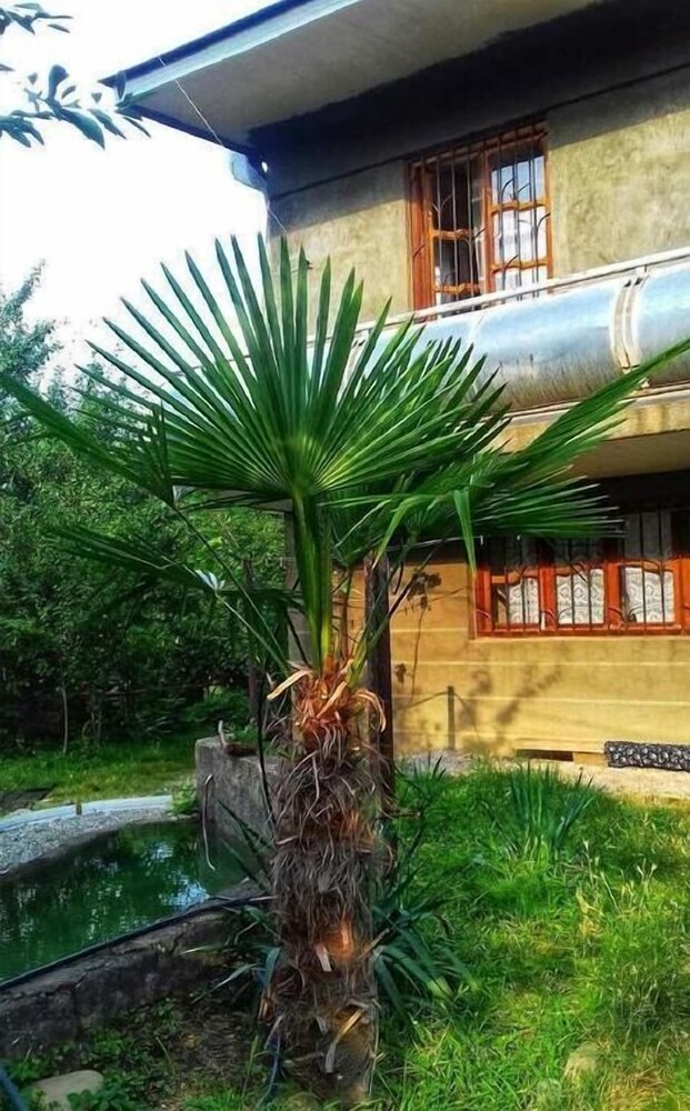 Farmer's Guest House