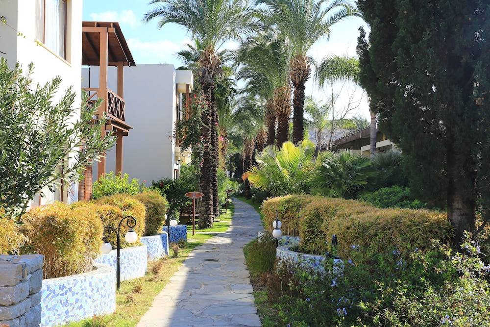 The LifeCo Bodrum İyi Yaşam Merkezi - Sadece Yetişkinler - Image 69