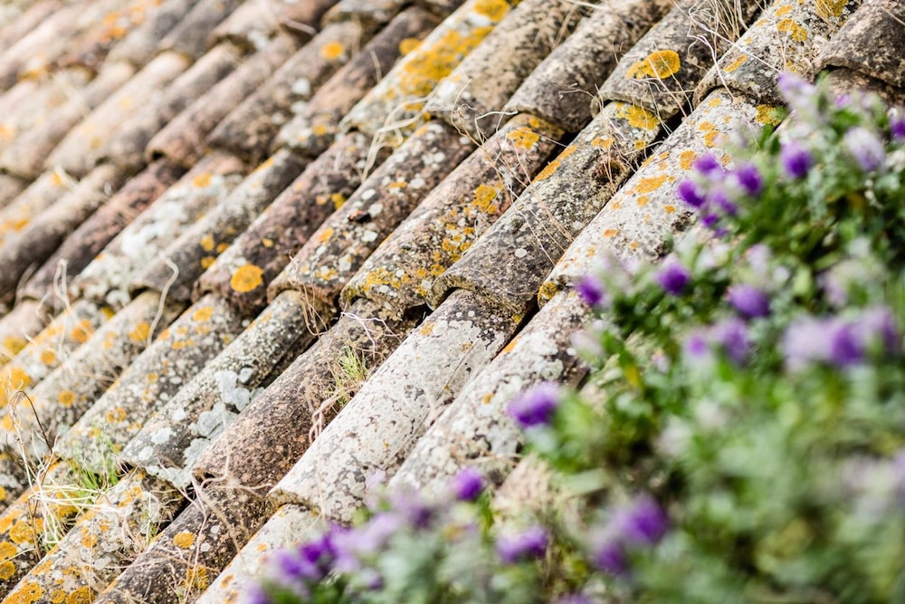Poggio Antico - Suites and Breakfast