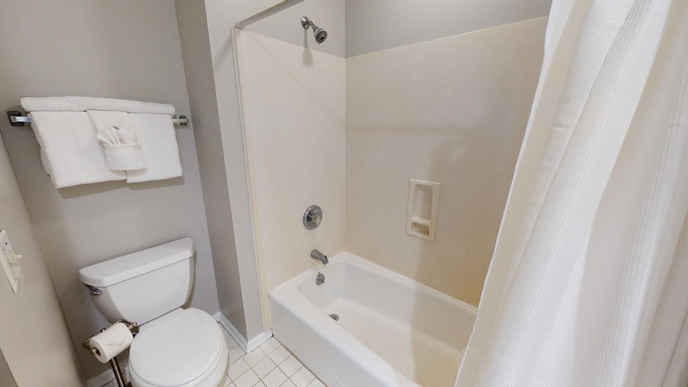 Dolphin Watch Tybee Vacation Rentals