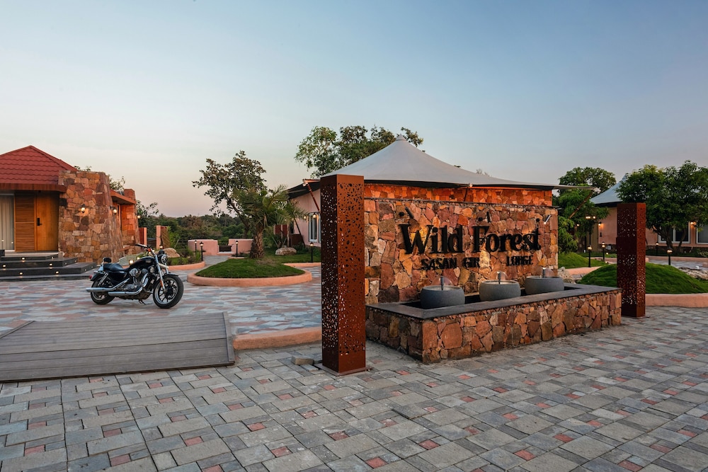 Wild forest Sasan Gir Wildlife Sanctuary
