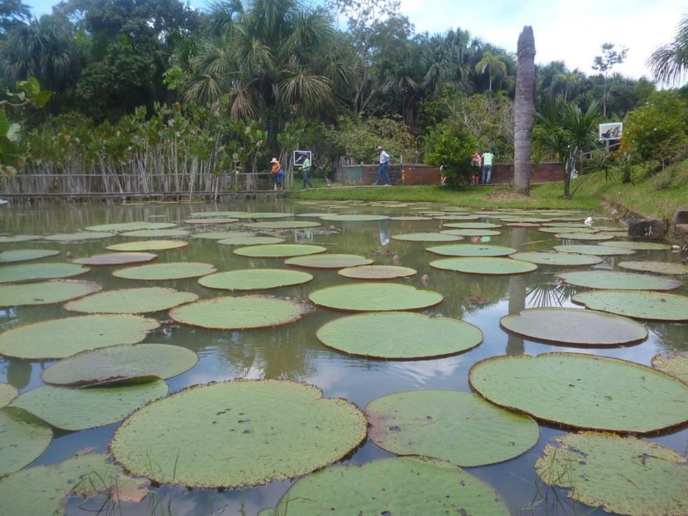 Photo 44