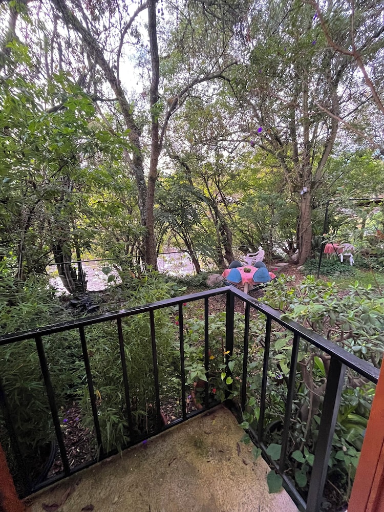 Apartamentos Otorongo