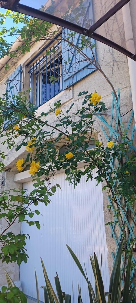 Photo 11