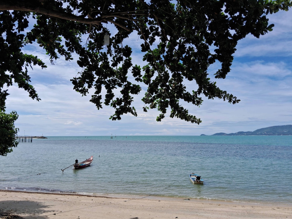 @ Samui Haus
