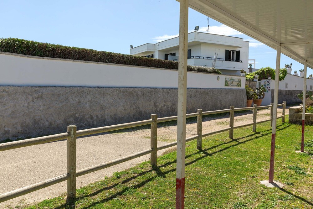 Photo 8
