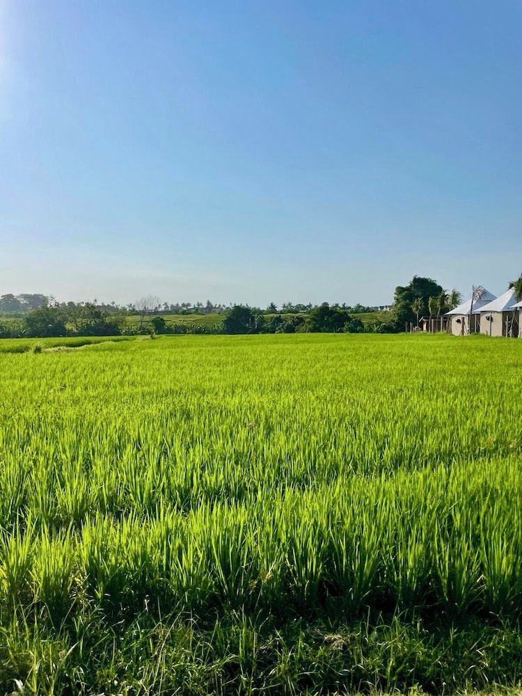 Villa Flora - Seseh Area
