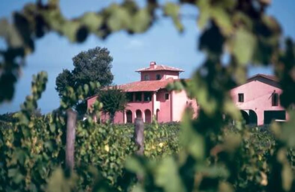 Fattoria Santa Lucia
