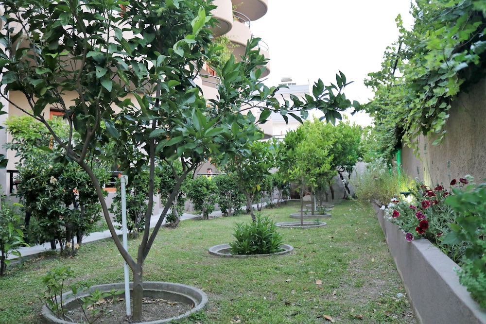 Photo 46