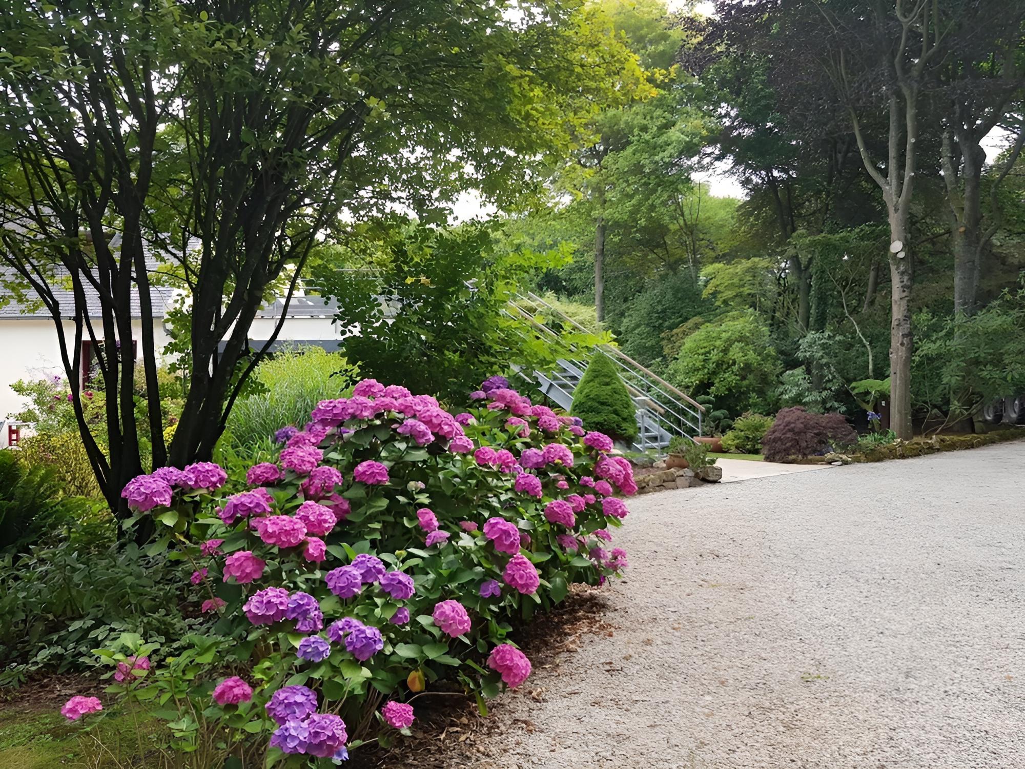 La Canopée des pins