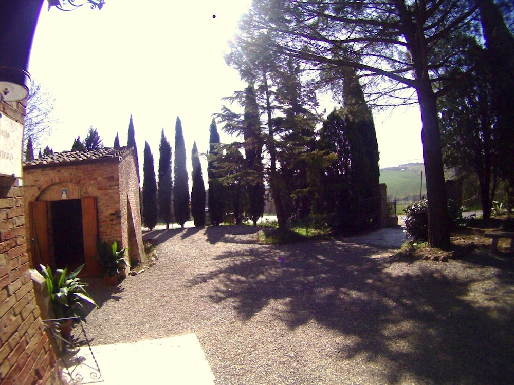 Photo 39