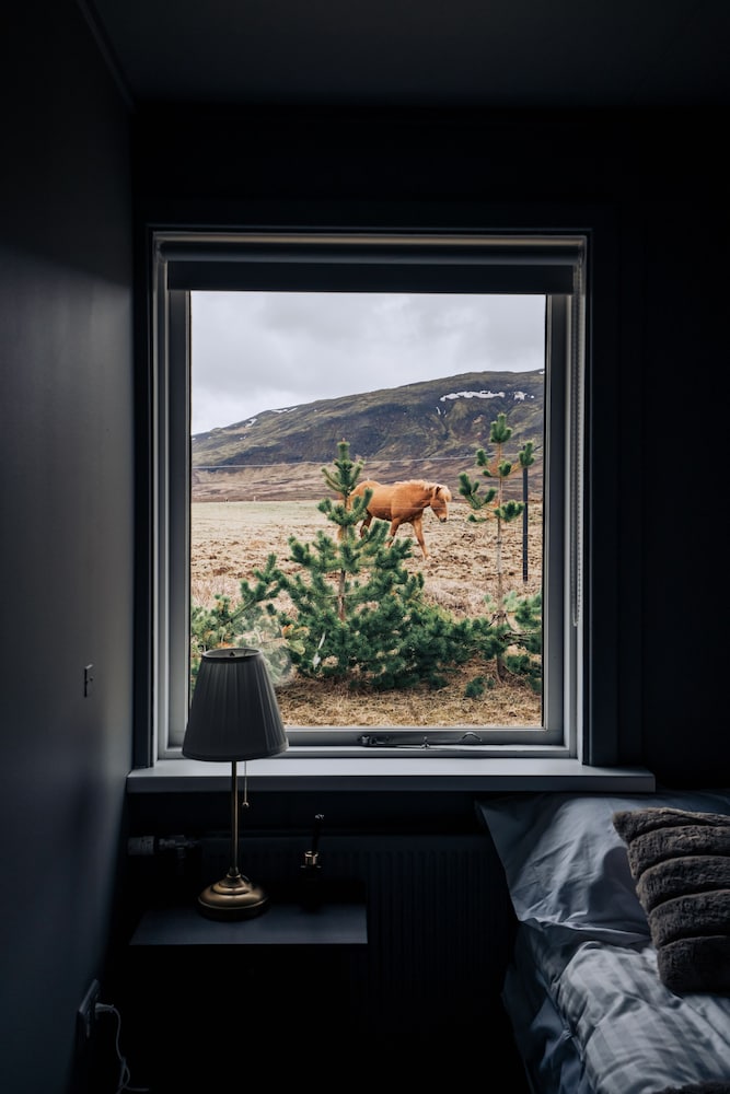 Golden Circle Luxury Cottages view 4