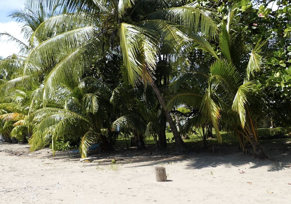 Viva Tambor Villas