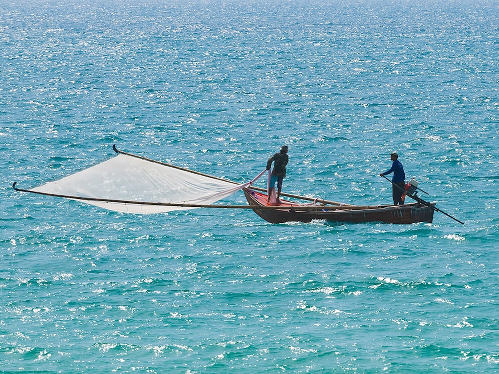 Photo 47