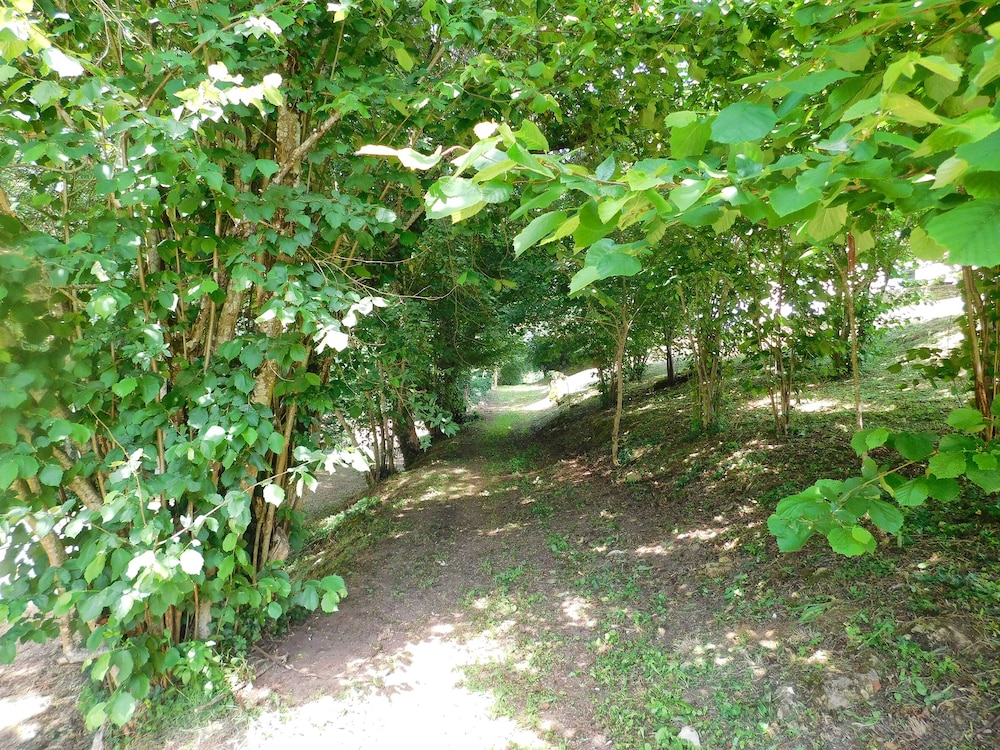 Photo 11