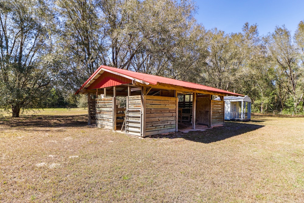 Gas Grill & Fire Pit: Peaceful Dunnellon Home! view 4