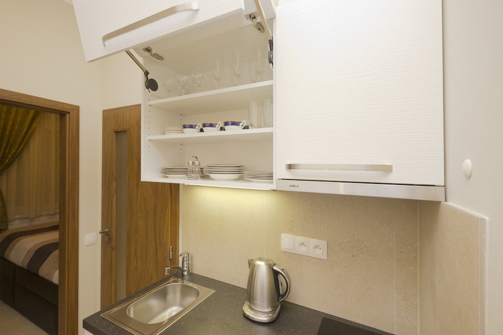 Apartment Karla Capka Street