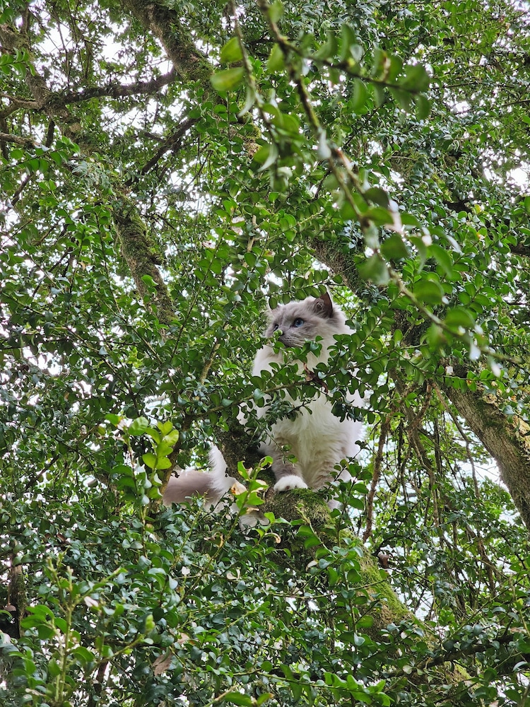 Montboulan Chambres d'hôtes