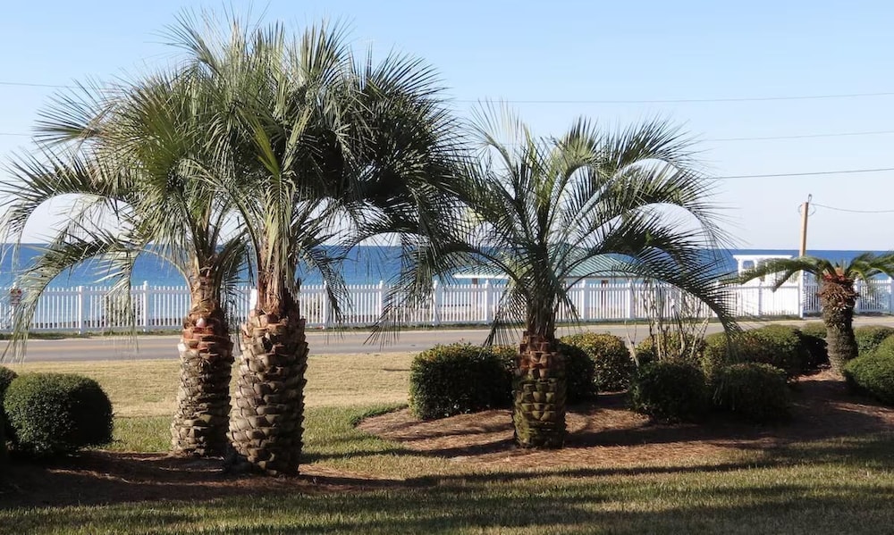 Gulf Winds East #3