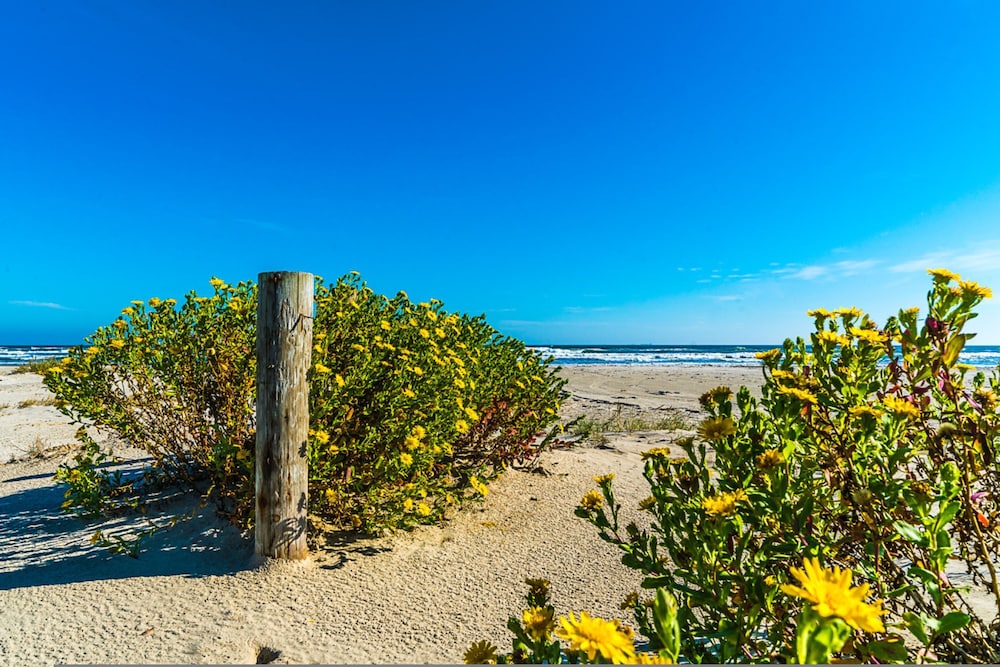 Blue Horizon in Galveston