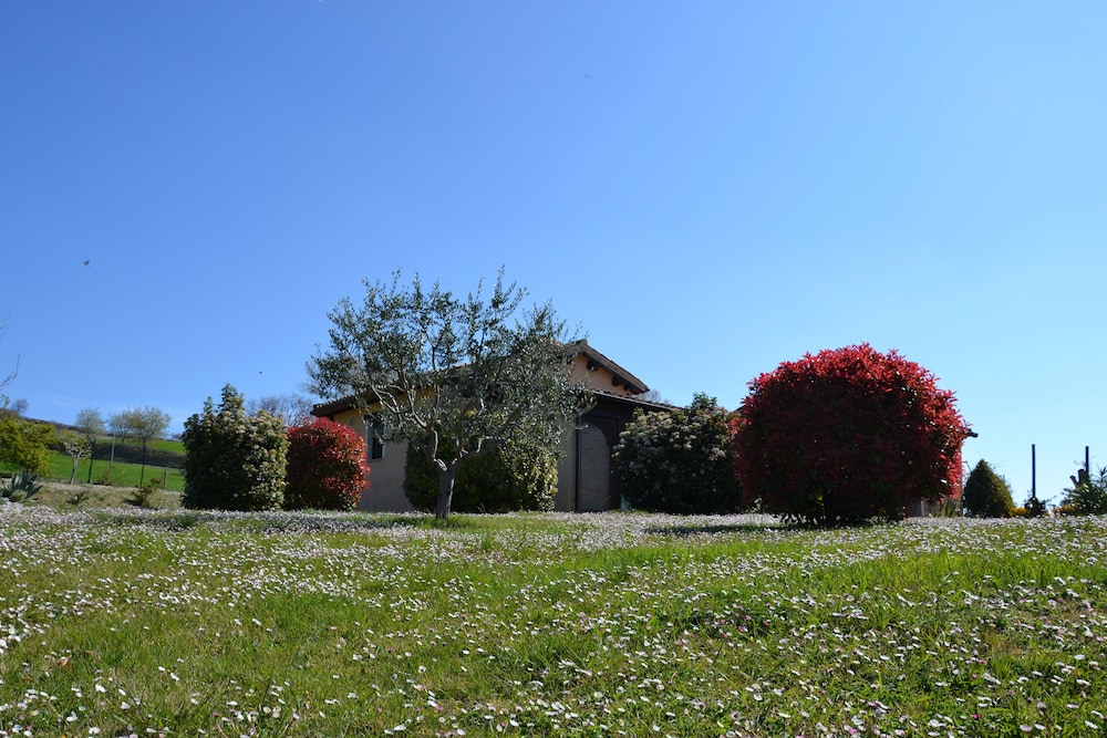 Photo 12