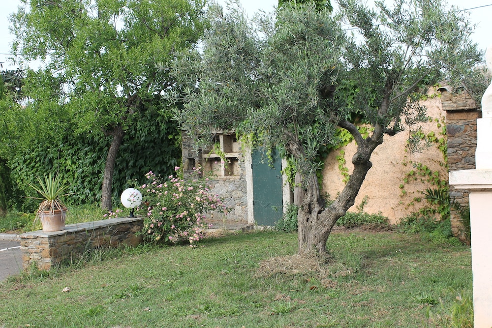 Chambres d'hôtes Le Clos des Oliviers