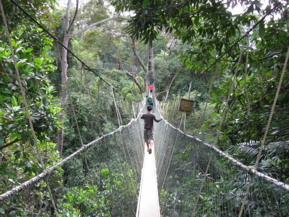 Capital O 90665 Countryview Recreation Park & Resort - Hostel