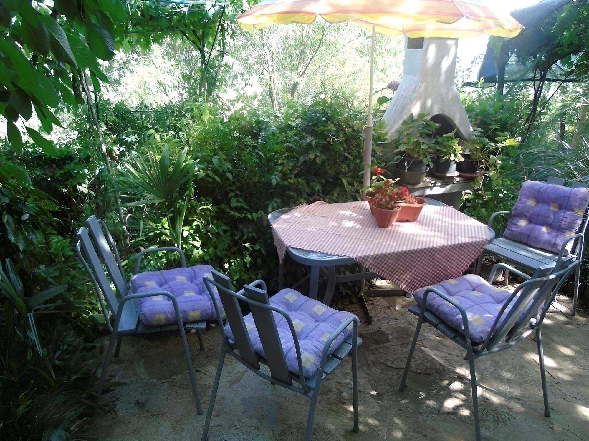 Photo 8