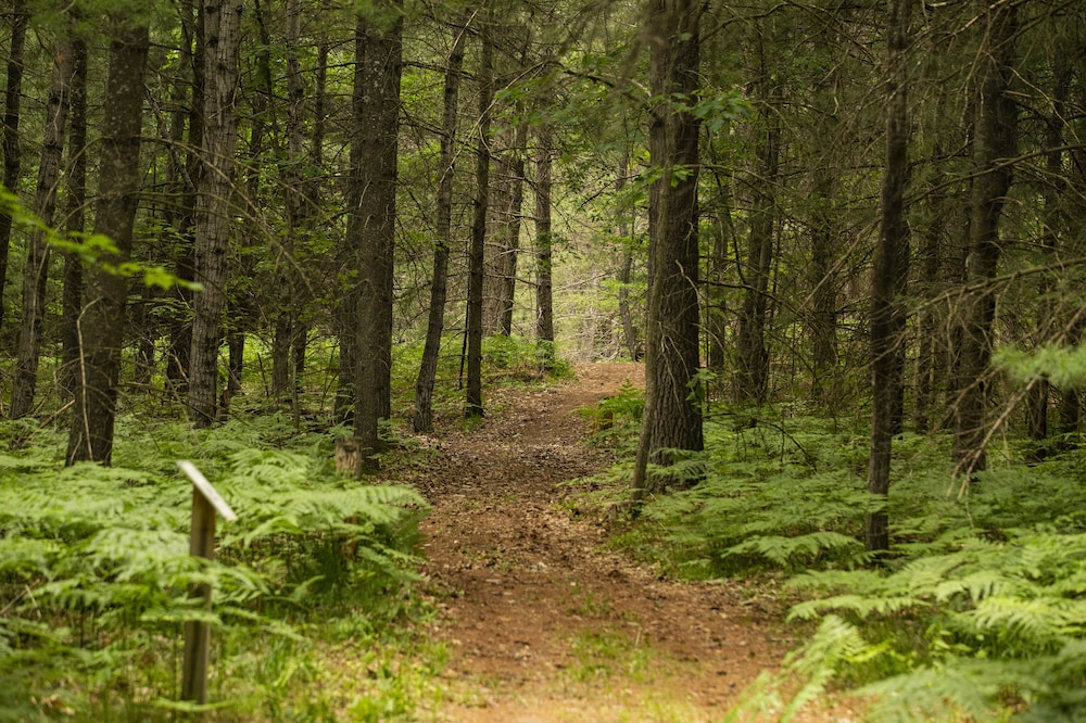 Rockwell Lake Lodge - Property Image 37