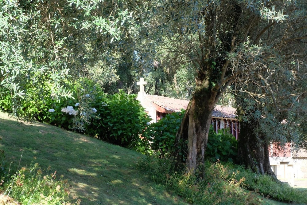 Photo 30