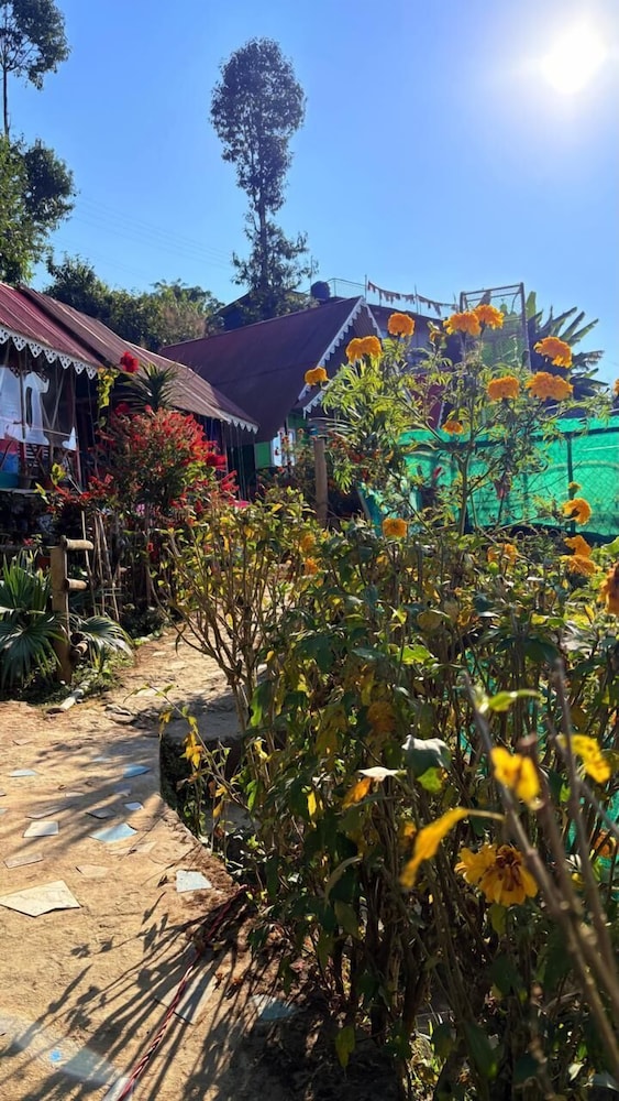 D's Mayaavea Homestay