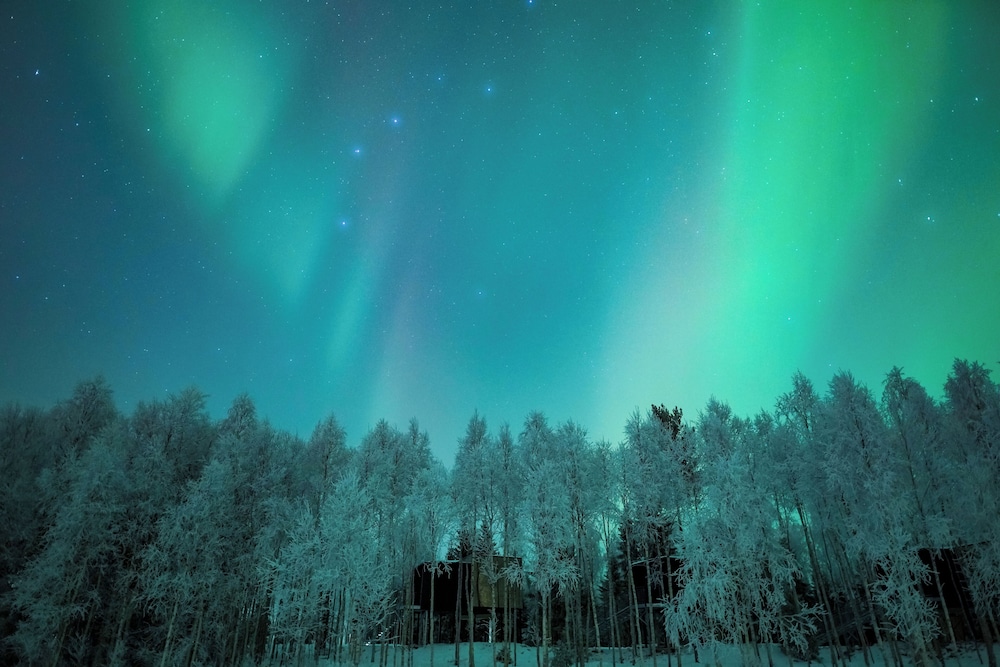 Silver Birch Resort