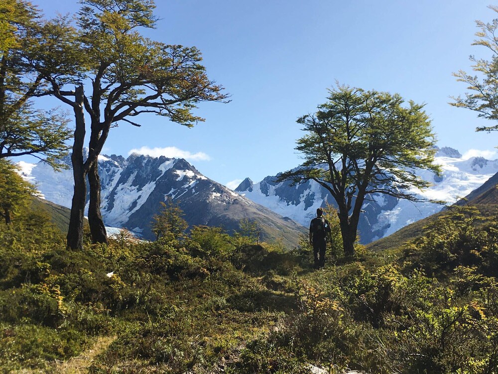 REFUGIO DE GLACIARES