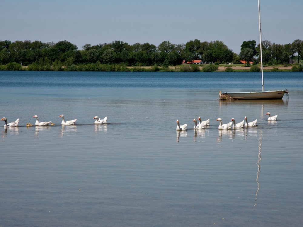Photo 48