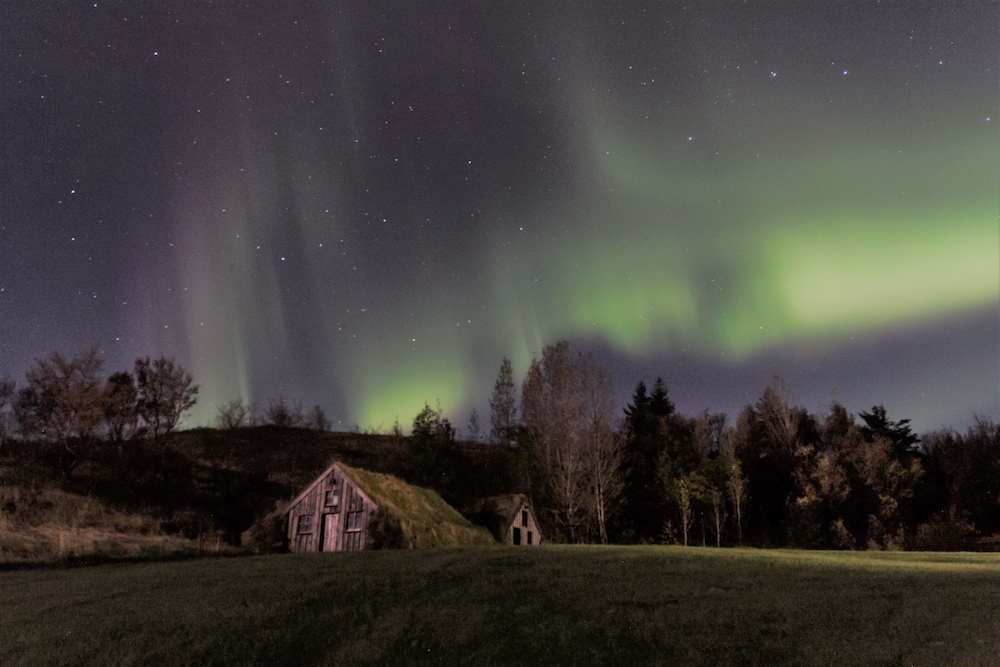 Dalshöfði Guesthouse