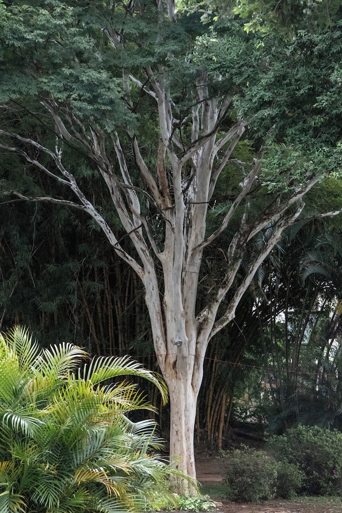 Pousada Canto Verde Cipó