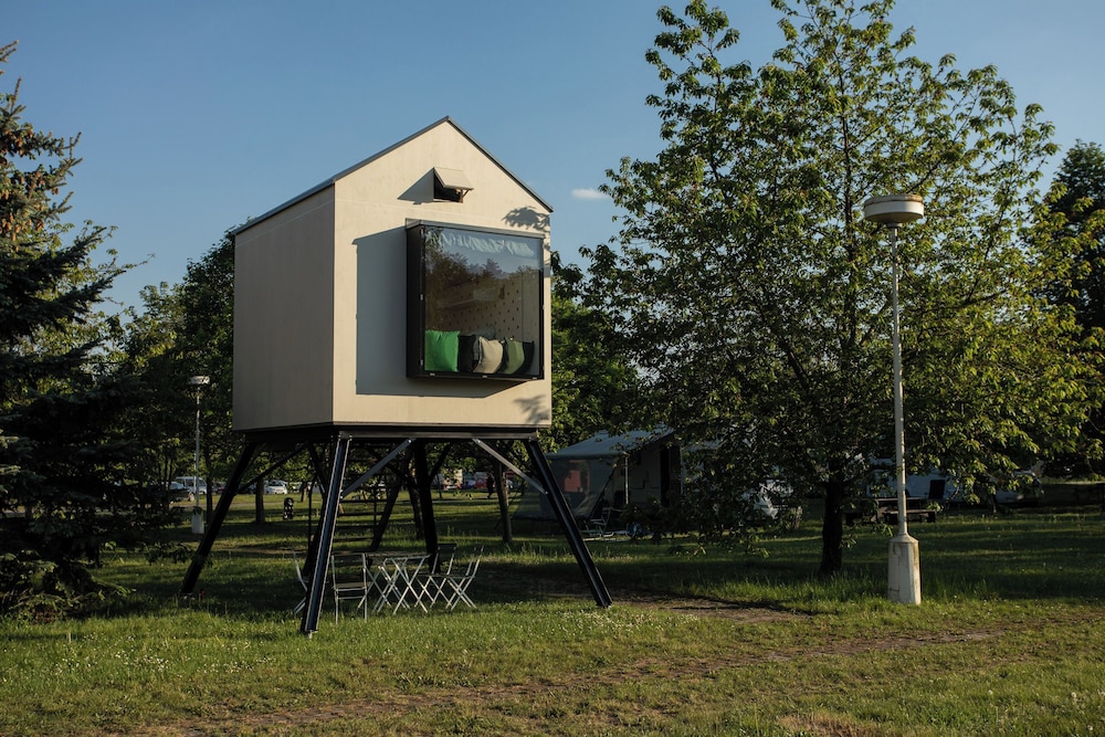 Camp Dzban