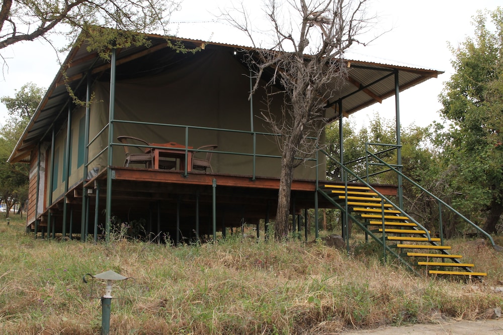Ngorongoro Wild Camps