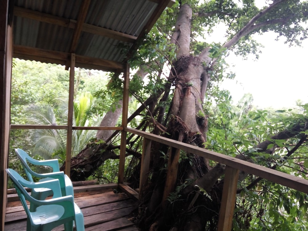 Castle Tree House