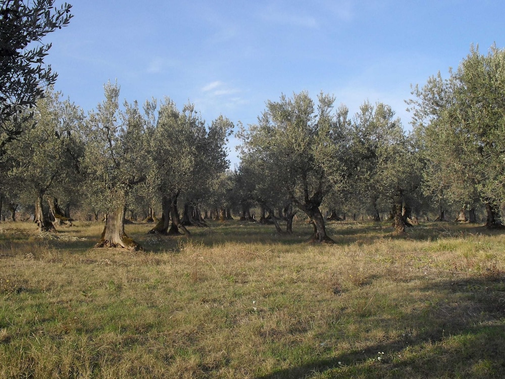 Photo 20
