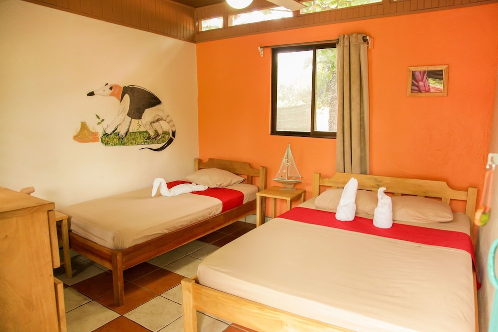 Blue Iguana - Property Image 4