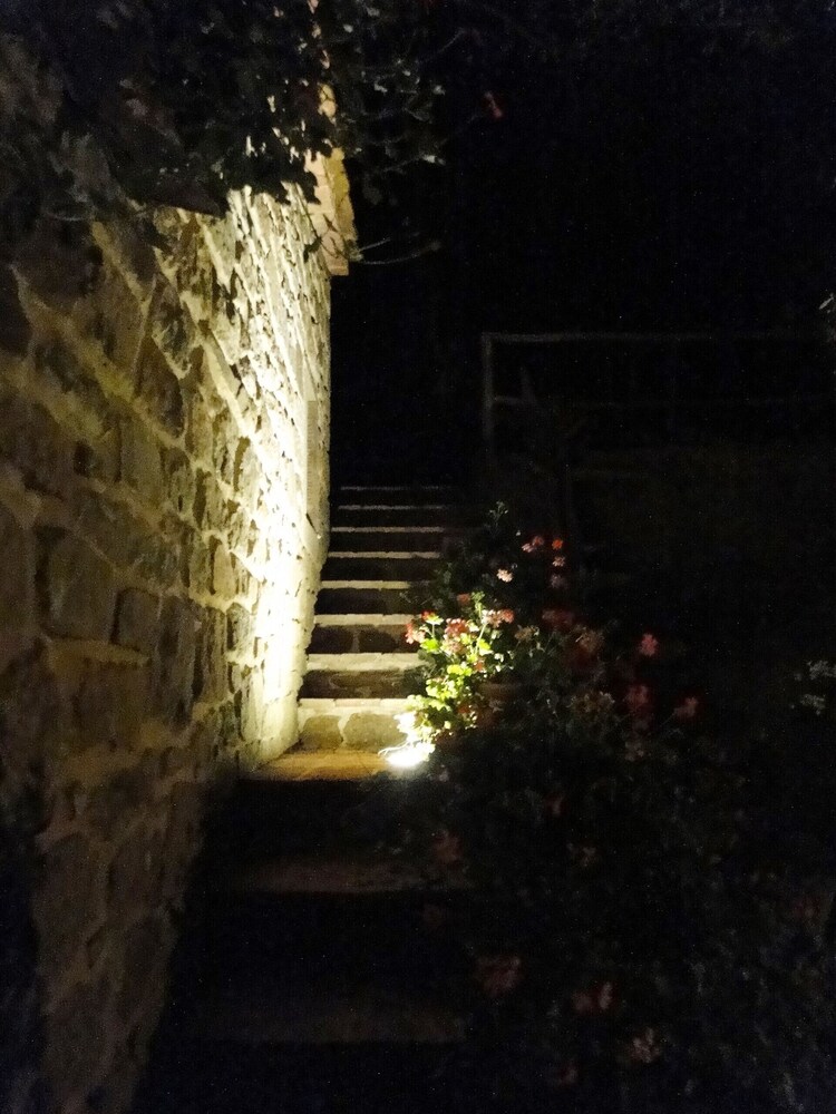 Photo 47