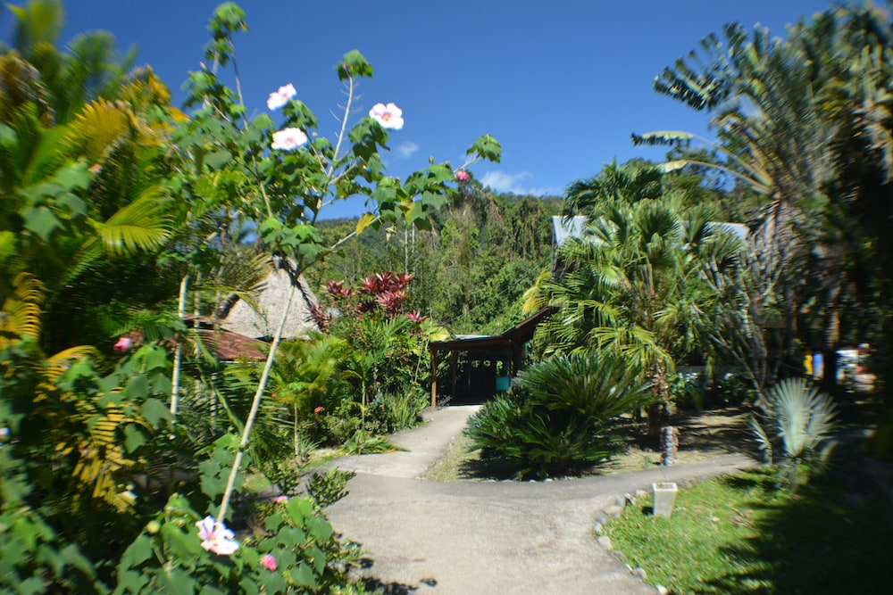 Omega Tours Adventure Company & Eco Jungle Lodge